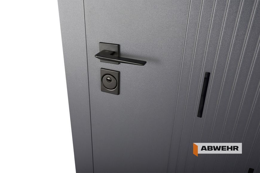 Входные двери модель Simfonia комплектация Classic PRIME (Антрацит + Кашемир Супермат) ABW-1631 фото