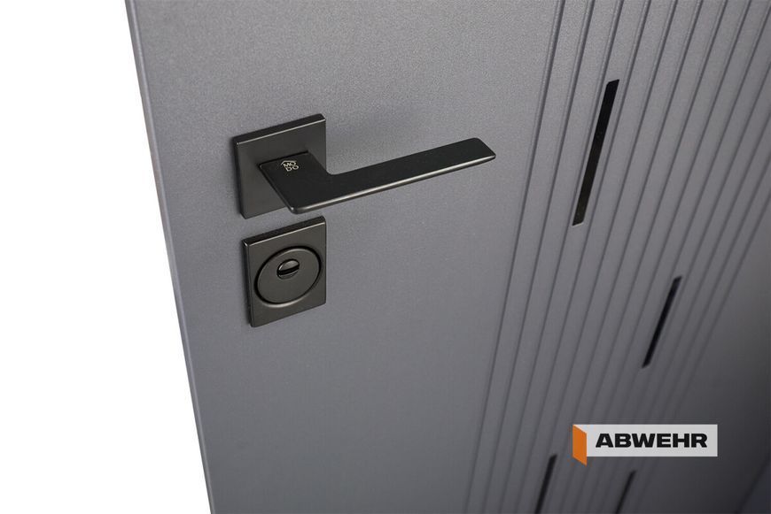 Входные двери модель Simfonia комплектация Classic PRIME (Антрацит + Кашемир Супермат) ABW-1631 фото