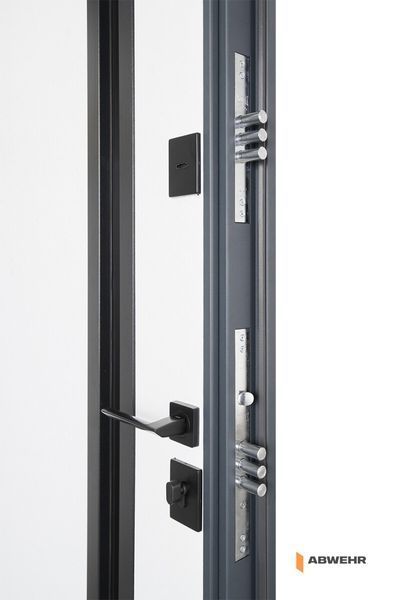 Входные двери модель Nordi Glass комплектация Defender 1200 ABW-1335 фото
