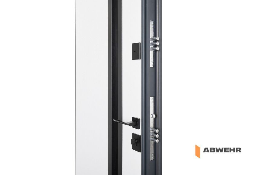 Входные двери модель Nordi Glass комплектация Defender 1200 ABW-1335 фото